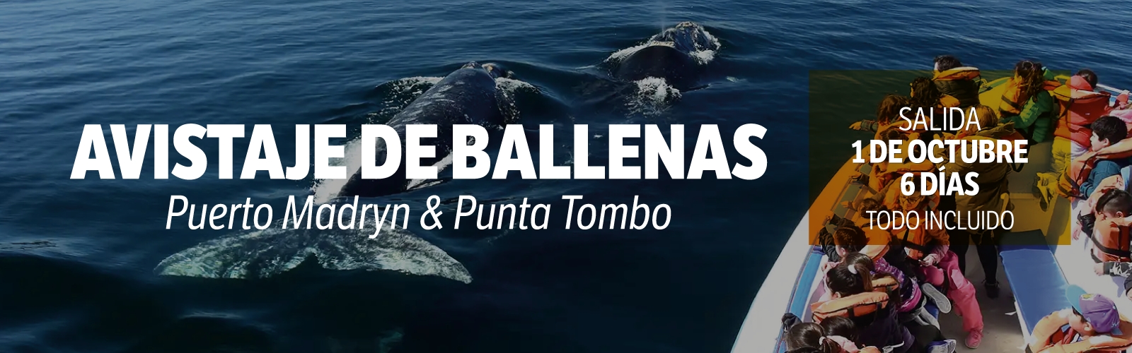 ballenas