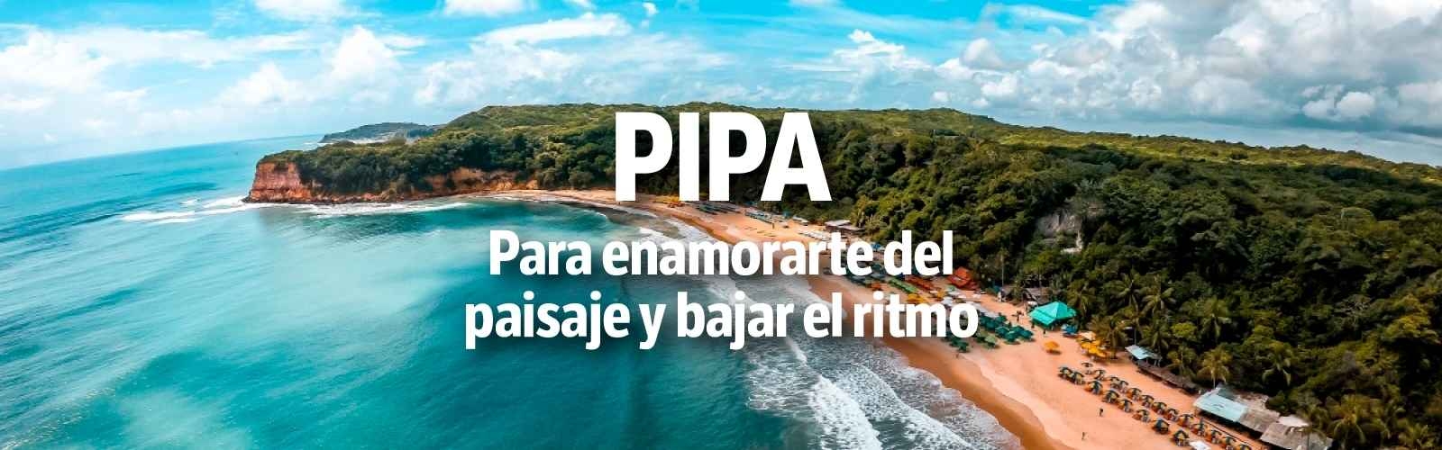 Pipa