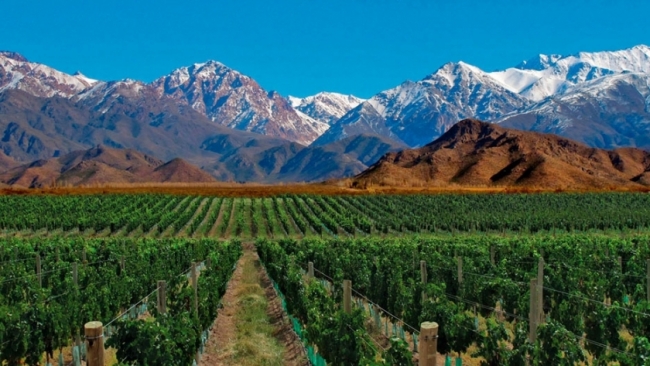 Mendoza con amigos!