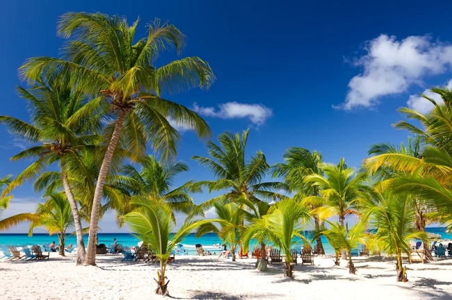 Punta Cana Desde Rosario