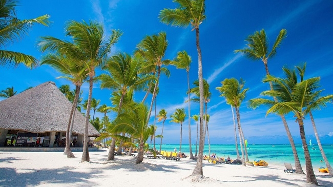 Punta Cana Desde Rosario