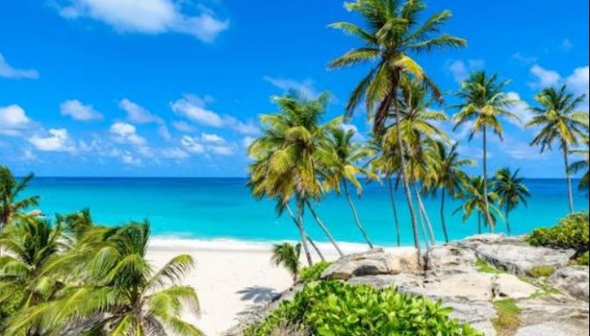 �Viaja Al Caribe Con Estas Opciones!