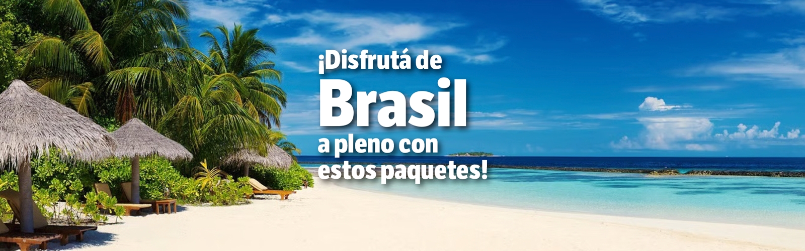 Disfrut Brasil