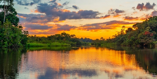 Manaos y Crucero Por El Amazonas
