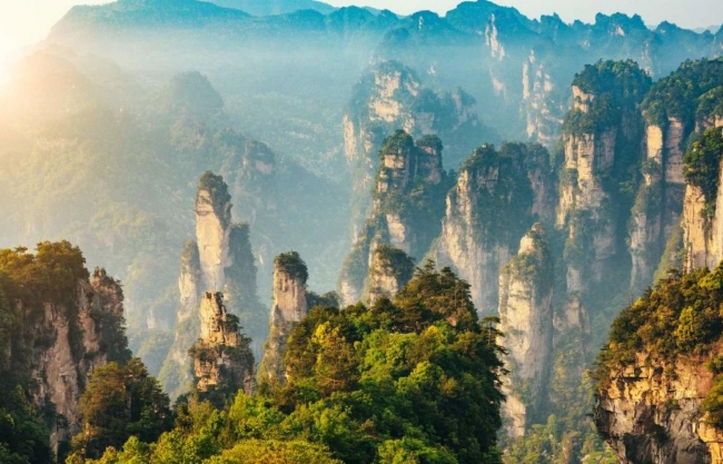 China Premium, Pandas + Avatar