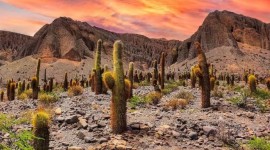 Norte Argentino Y Chileno Con San Pedro De Atacama 