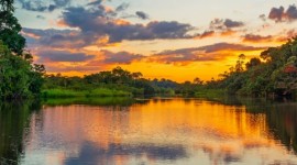 Manaos y Crucero Por El Amazonas