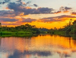 Manaos y Crucero Por El Amazonas