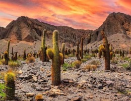 Semana Santa en Salta desde Rosario