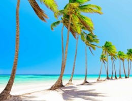 Caribe En Vacaciones De Invierno 